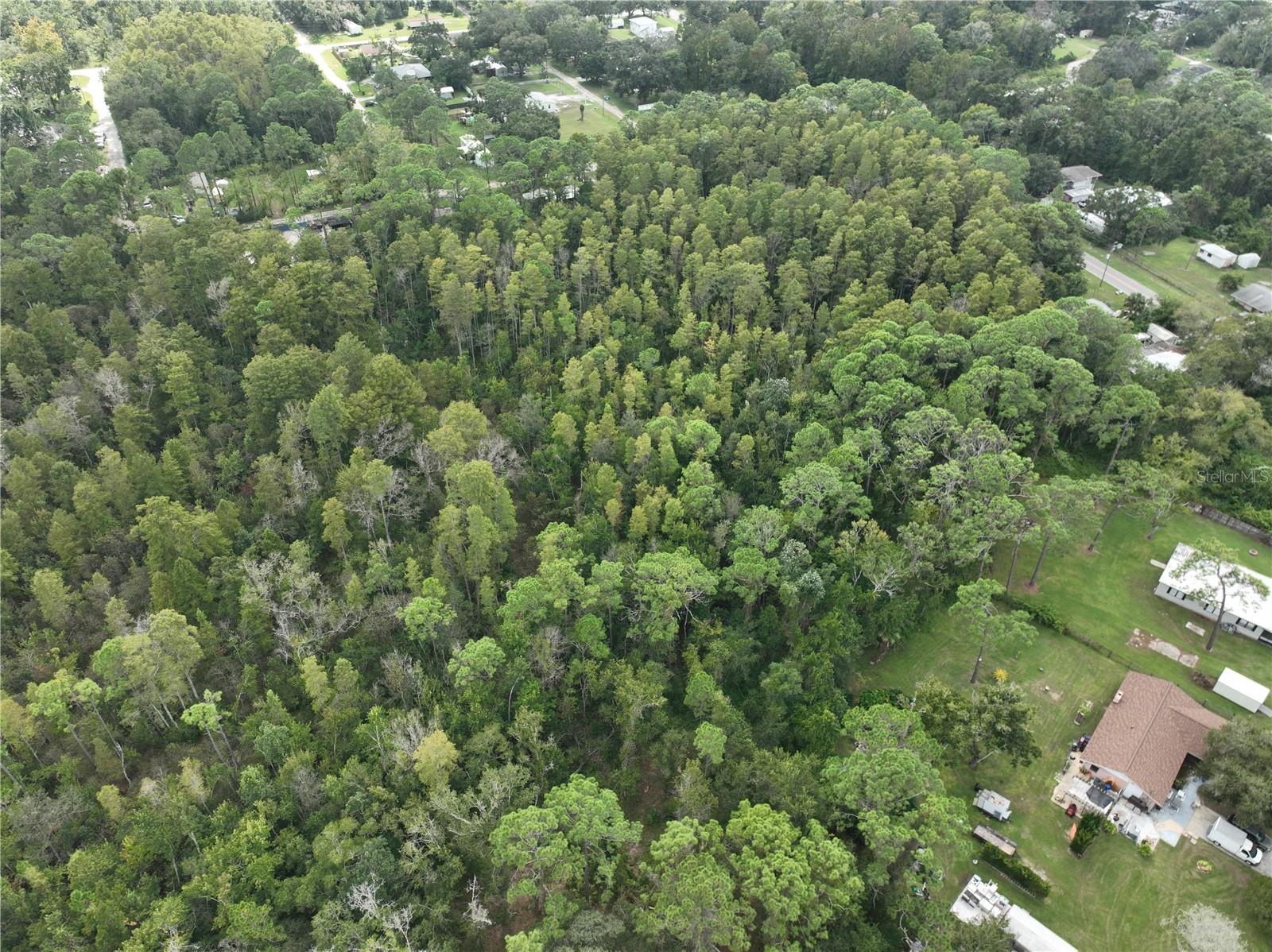 Image 23 of 52 For 12818 Morton Street