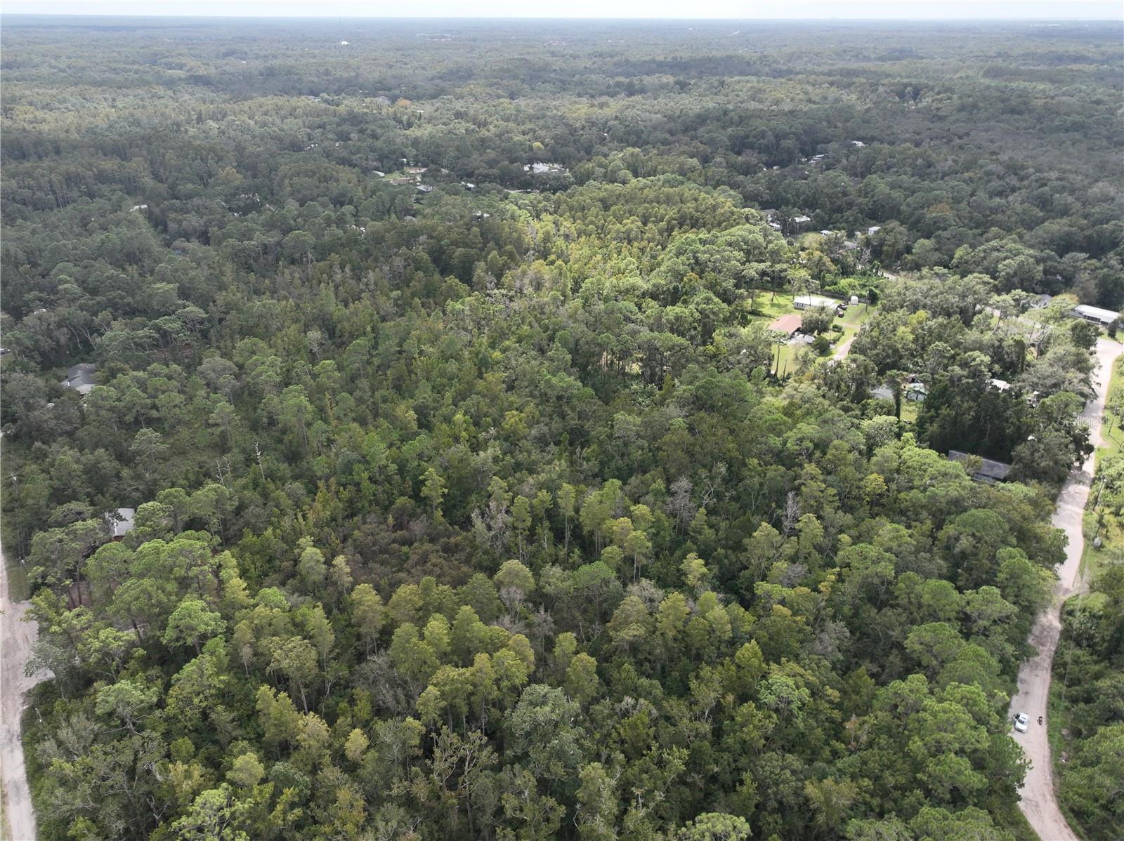 Image 30 of 52 For 12818 Morton Street