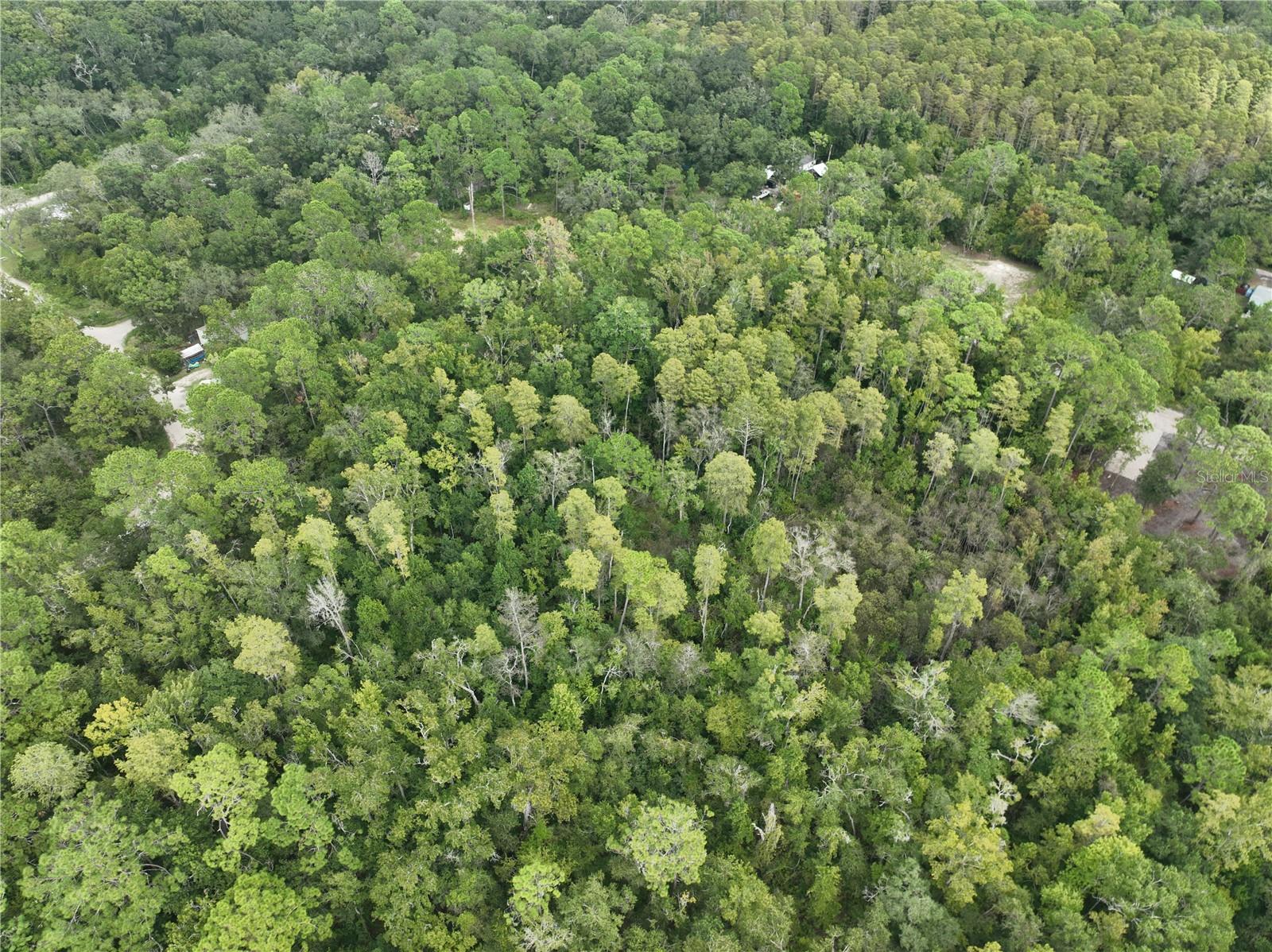 Image 31 of 52 For 12818 Morton Street