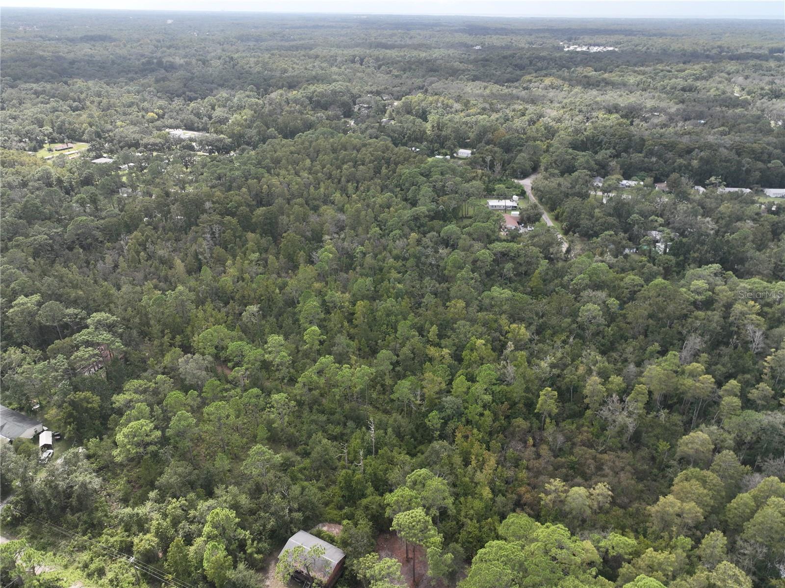 Image 35 of 52 For 12818 Morton Street