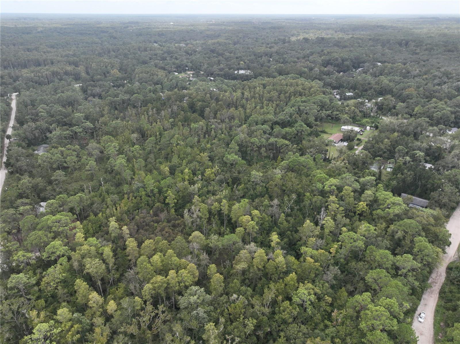 Image 40 of 52 For 12818 Morton Street