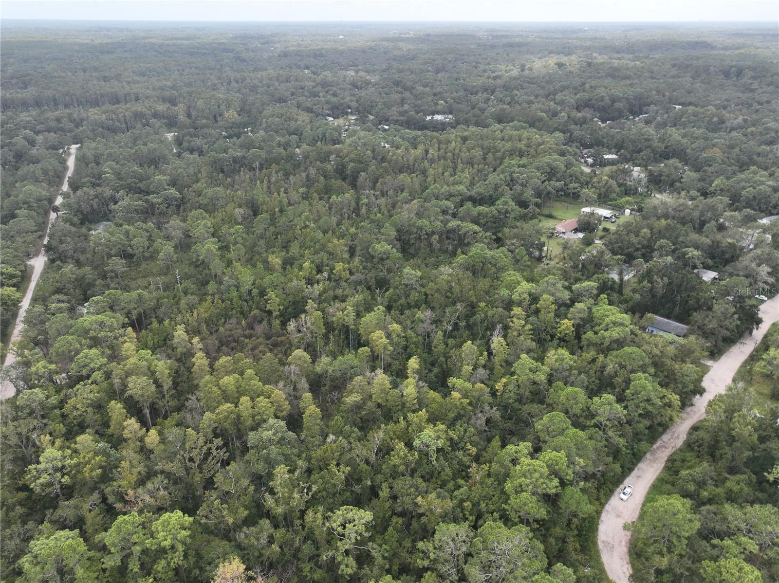 Image 41 of 52 For 12818 Morton Street