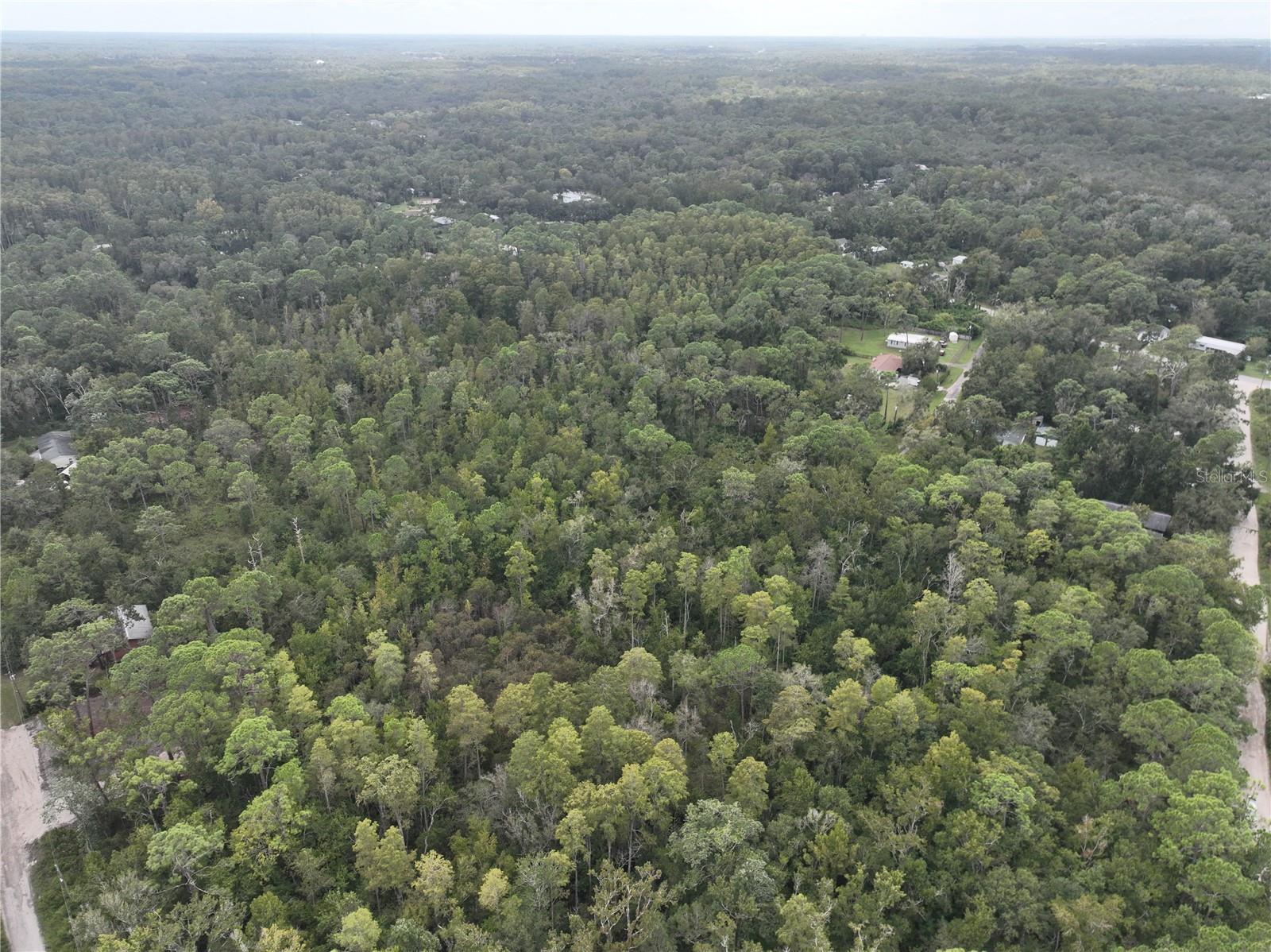 Image 42 of 52 For 12818 Morton Street