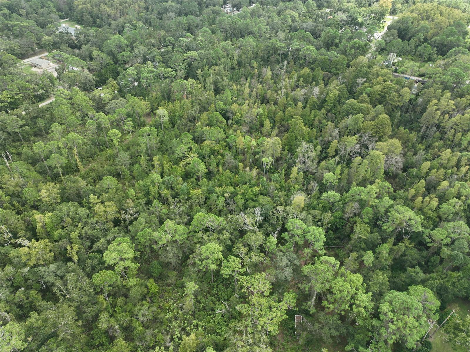 Image 43 of 52 For 12818 Morton Street