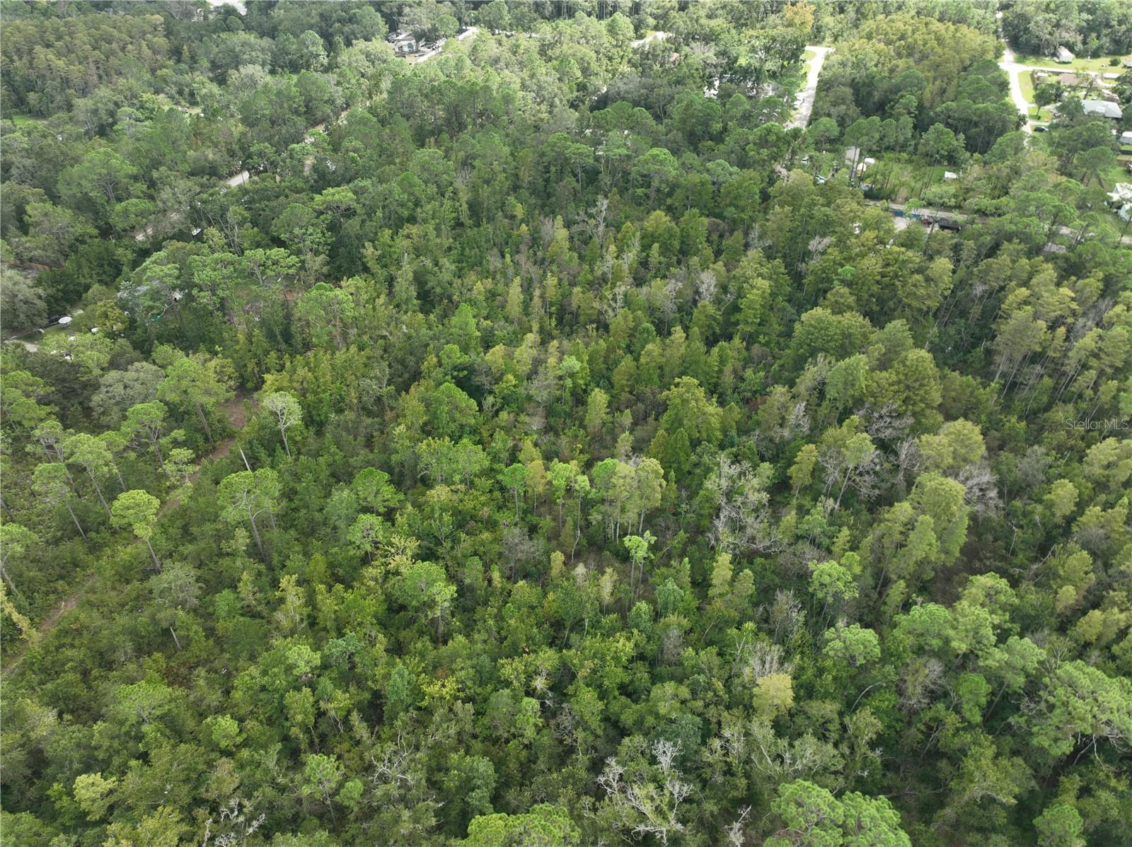 Image 44 of 52 For 12818 Morton Street