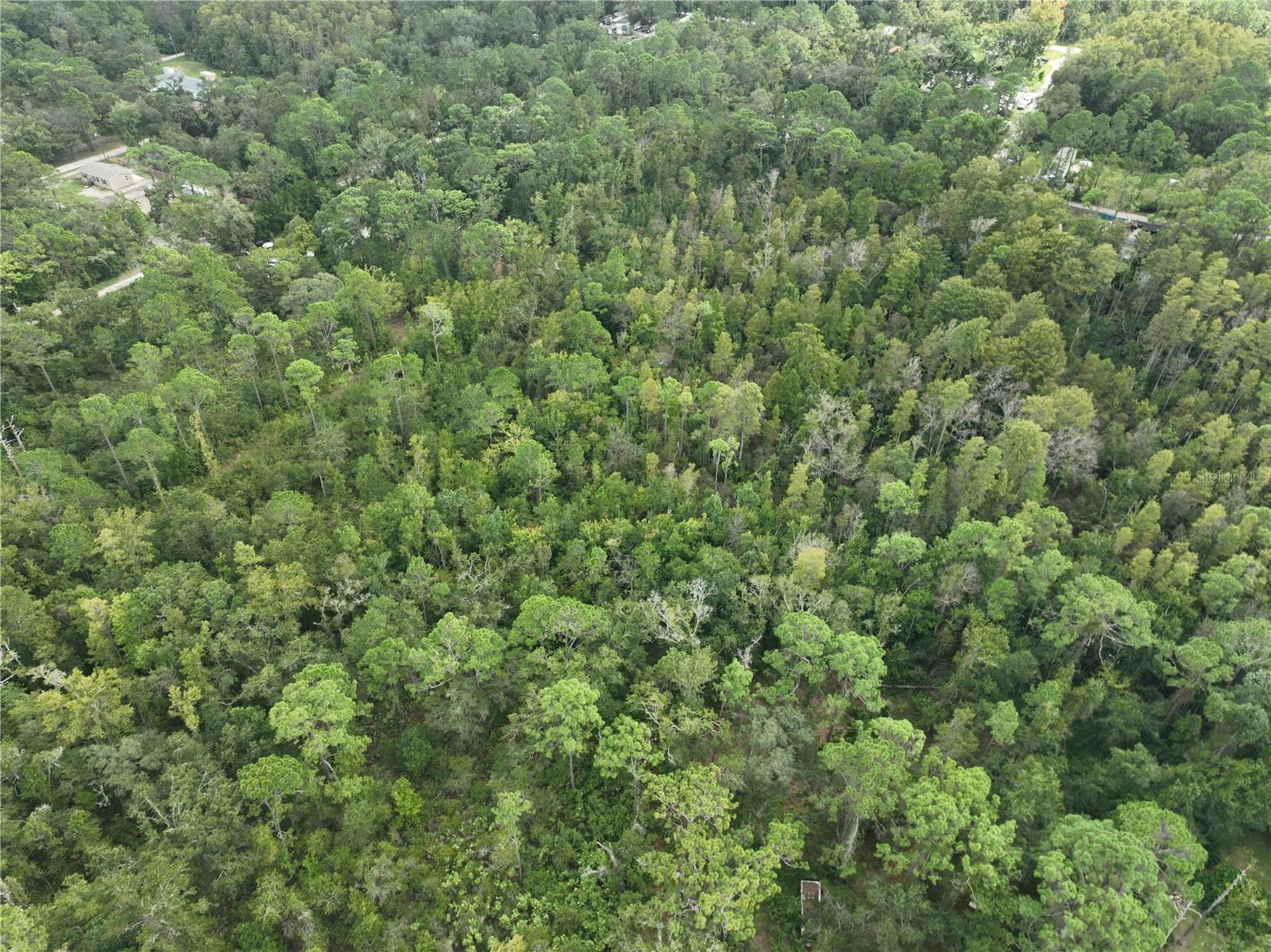 Image 45 of 52 For 12818 Morton Street