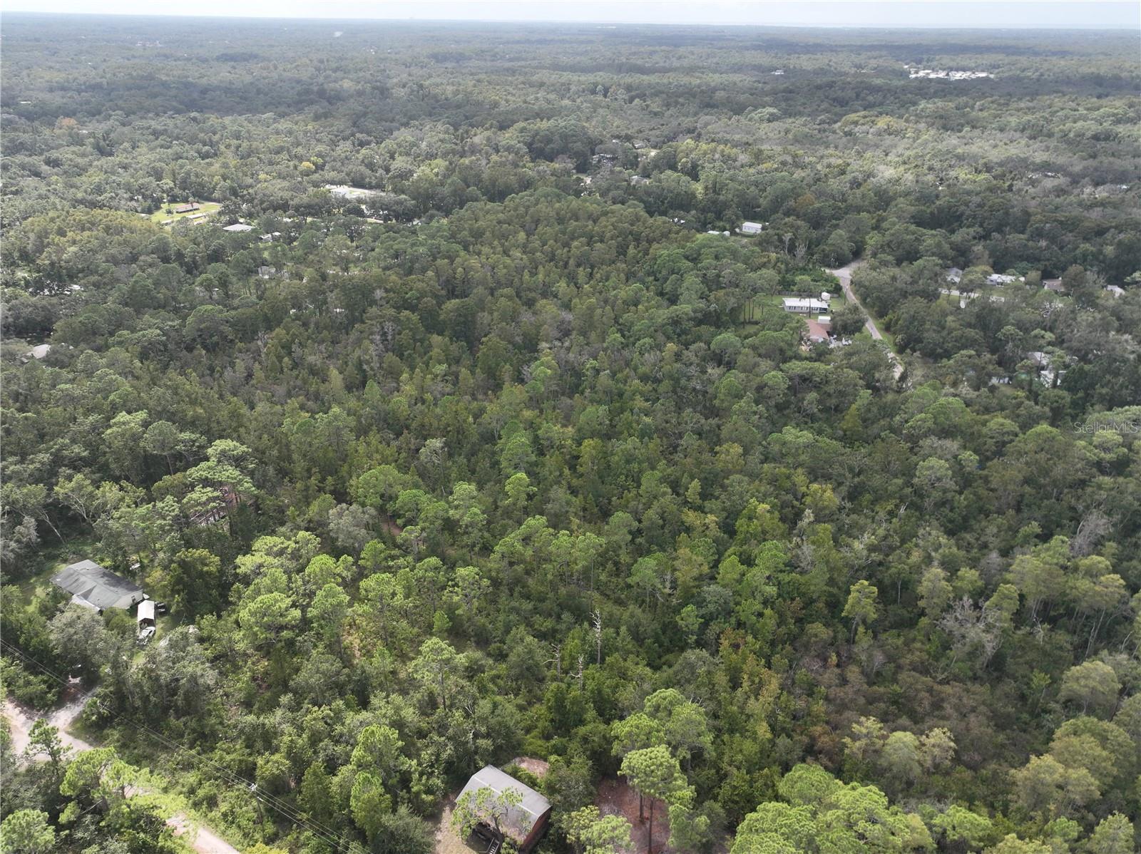 Image 46 of 52 For 12818 Morton Street