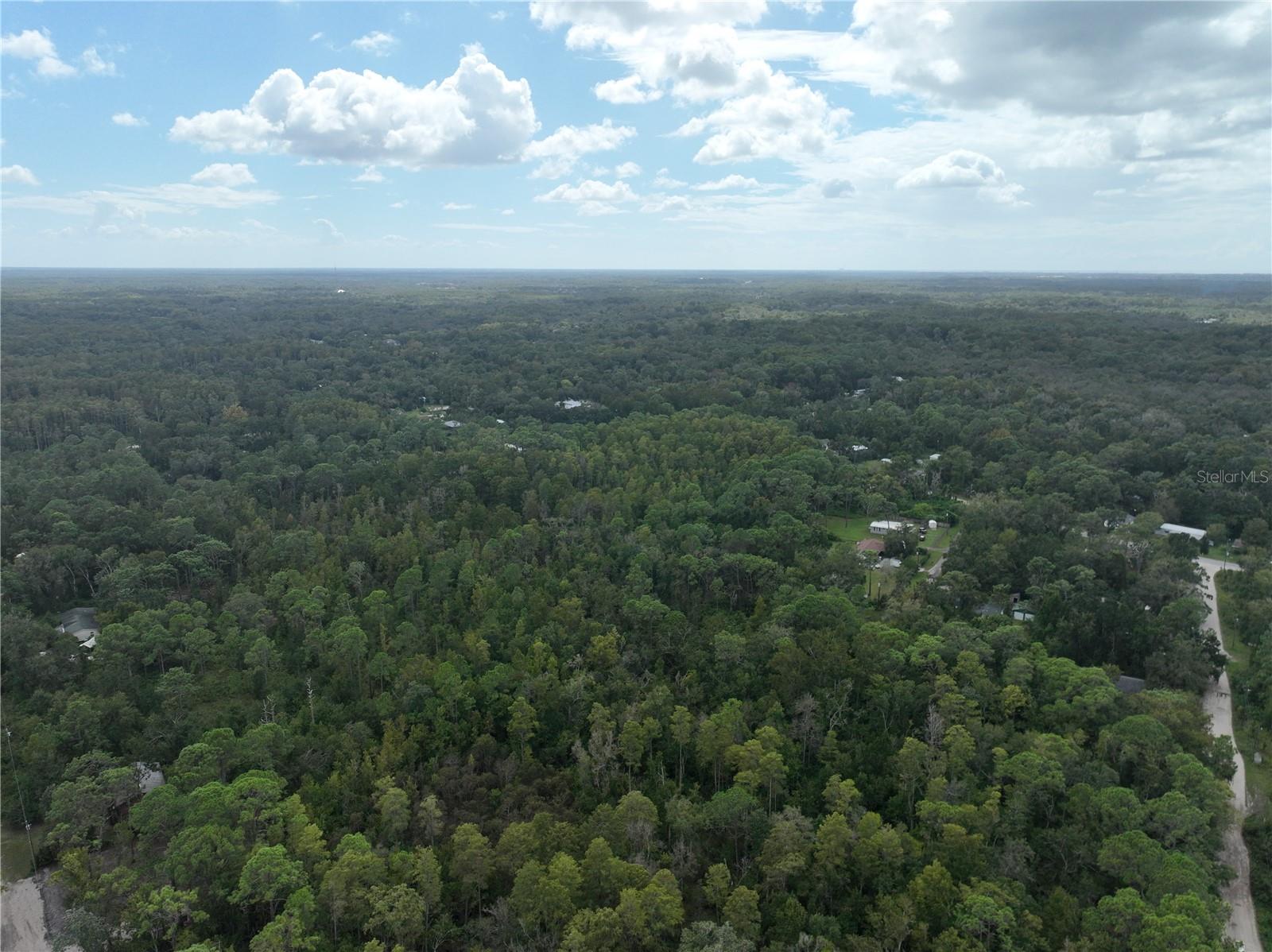 Image 48 of 52 For 12818 Morton Street