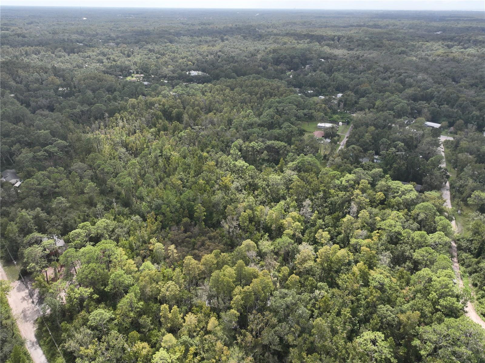 Image 9 of 52 For 12818 Morton Street