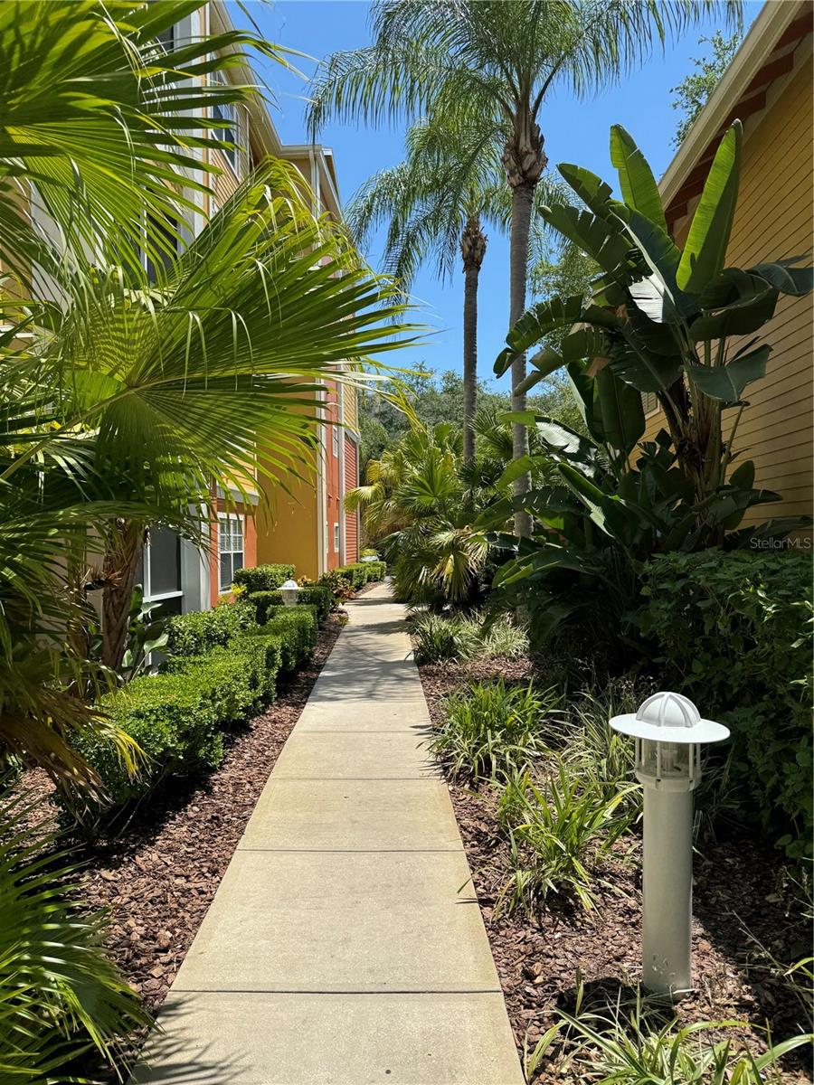 Image 27 of 30 For 4207 Dale Mabry Highway 10107