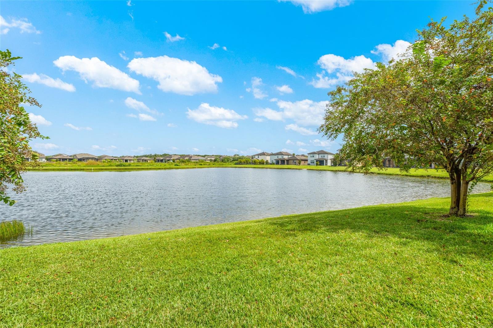 Listing photo id 25 for 9210 Hillcroft Drive