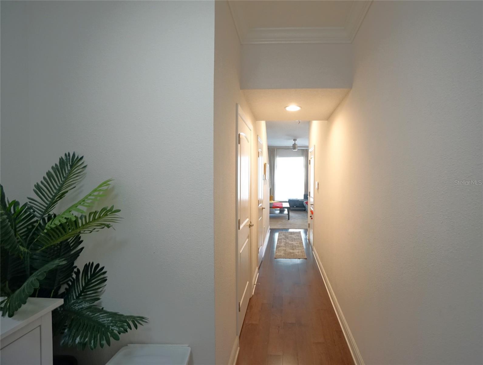 Image 12 of 26 For 115 Arrawana Avenue 8