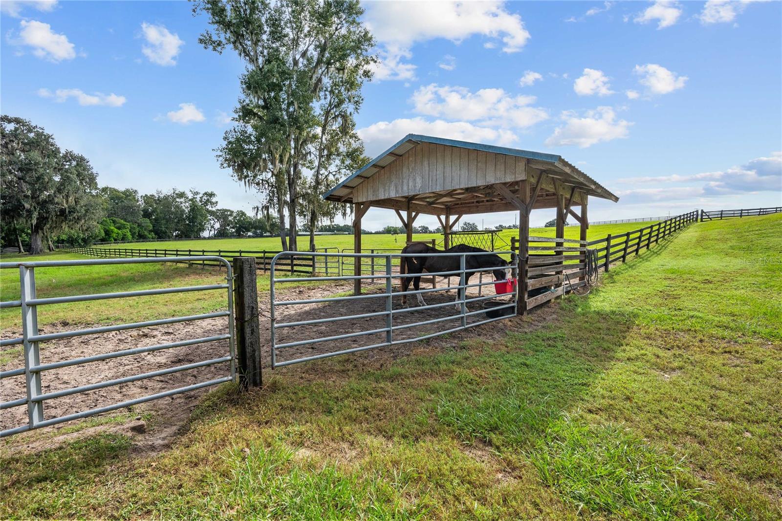 Image 11 of 38 For 15833 Jessamine Road