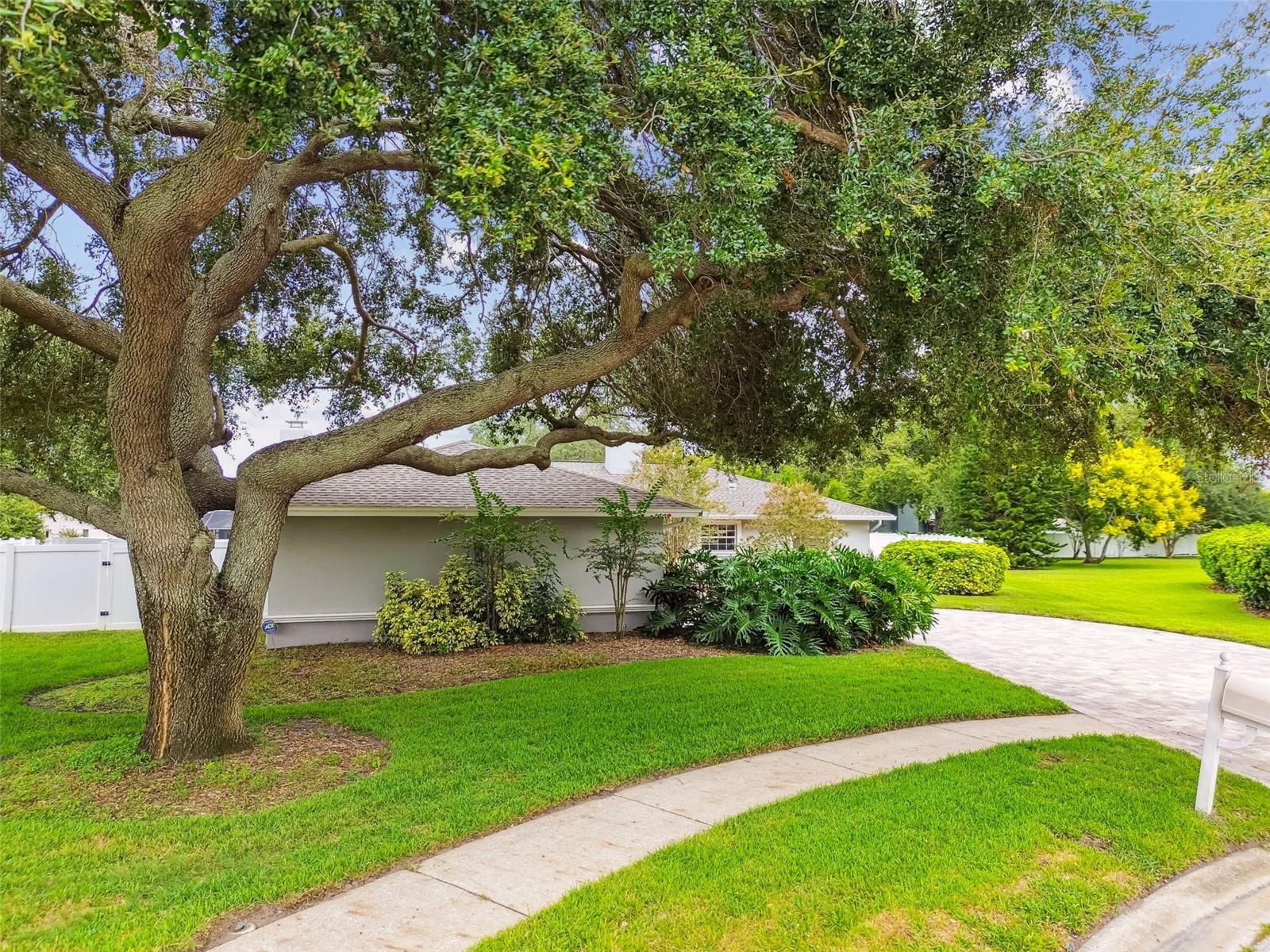 Listing photo id 71 for 40 Citrus Court