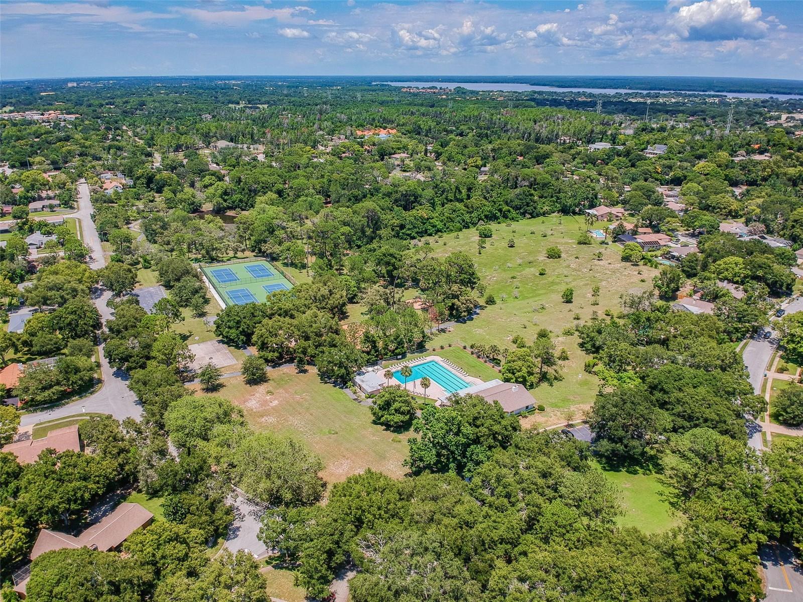 Listing photo id 85 for 40 Citrus Court