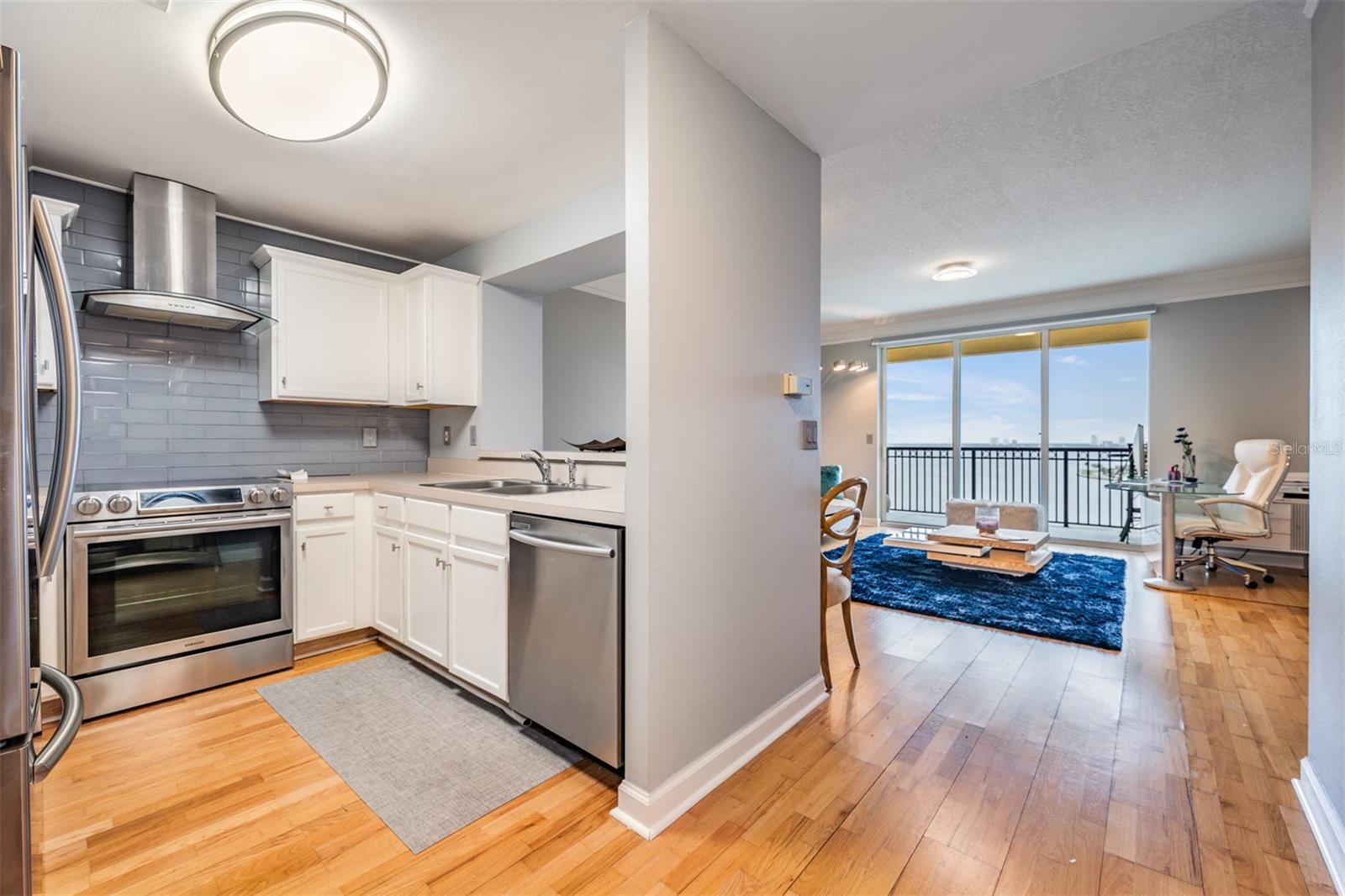 Image 13 of 35 For 345 Bayshore Boulevard 1411