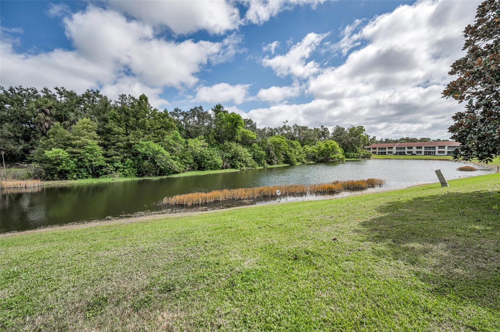 Image 47 of 60 For 1400 Water View Drive W 104