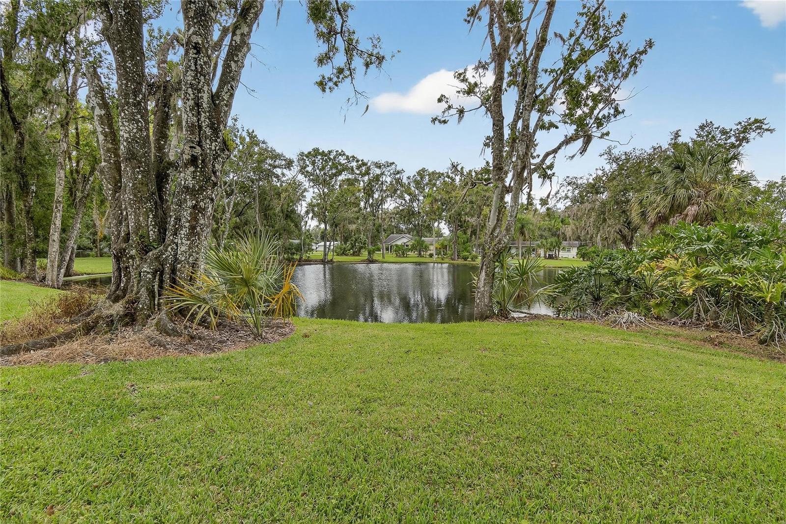 Listing photo id 66 for 1502 Azalea Street