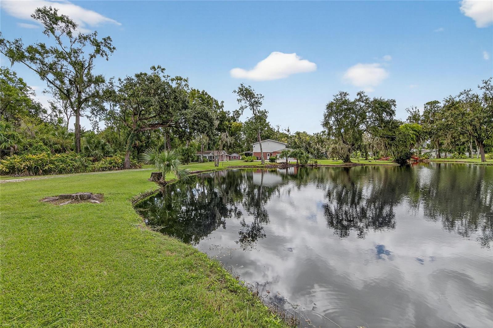Listing photo id 75 for 1502 Azalea Street