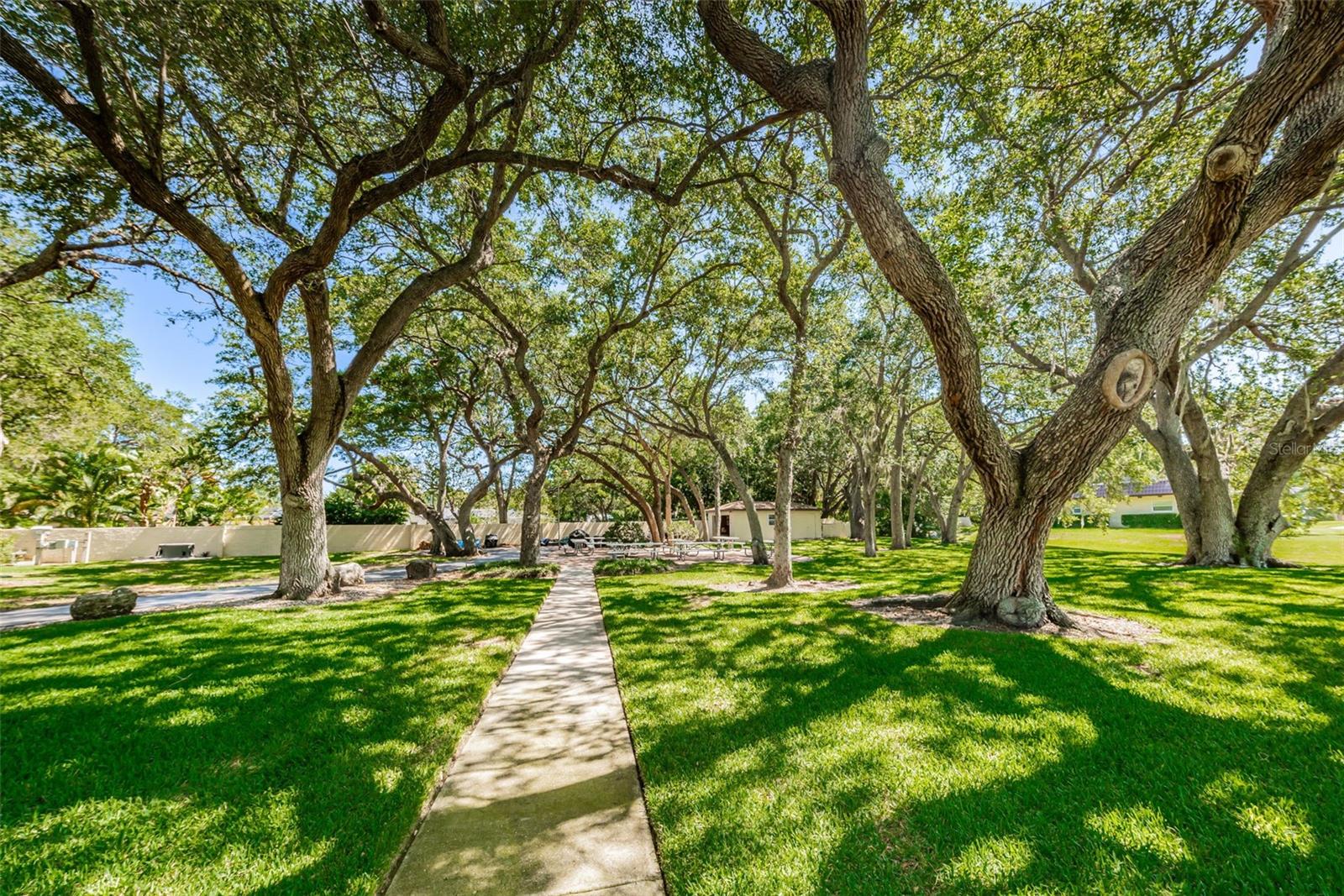 Listing photo id 58 for 1701 Pinehurst Road 9-h