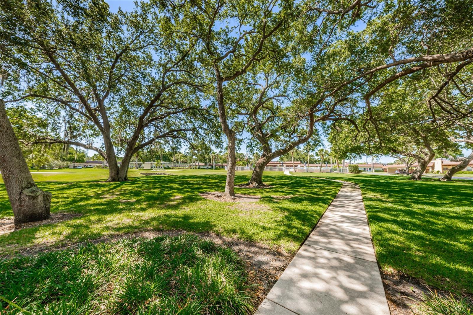 Listing photo id 63 for 1701 Pinehurst Road 9-h