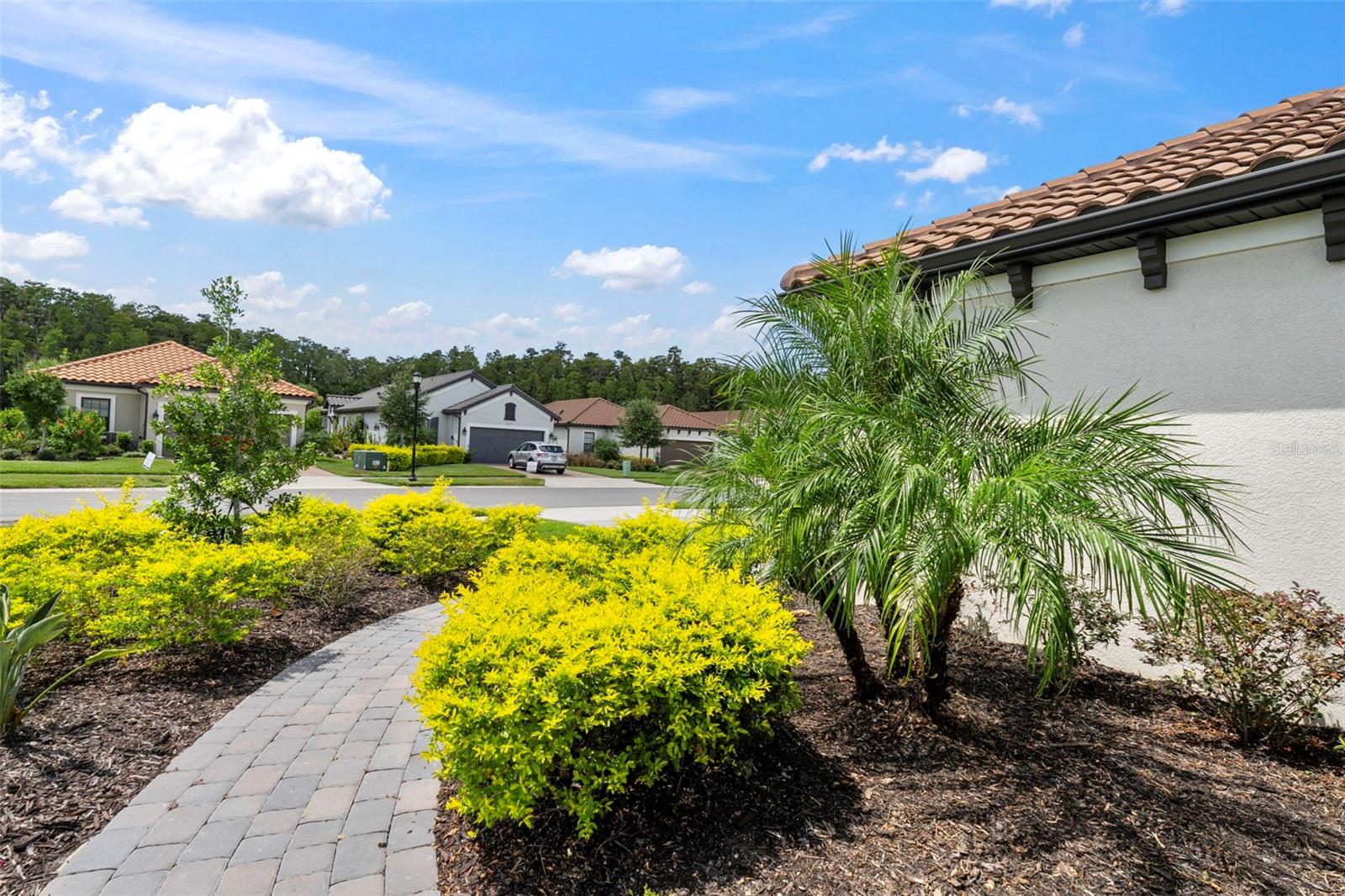 Image 57 of 62 For 4308 Cairoli Court