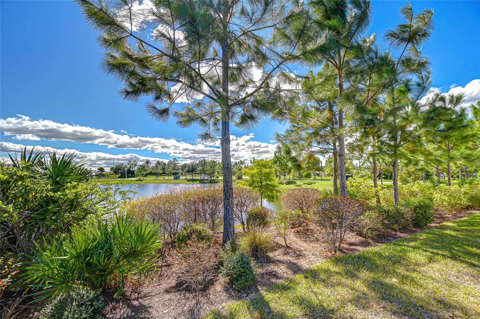 Image 78 of 95 For 11430 Ranchers Gap Drive