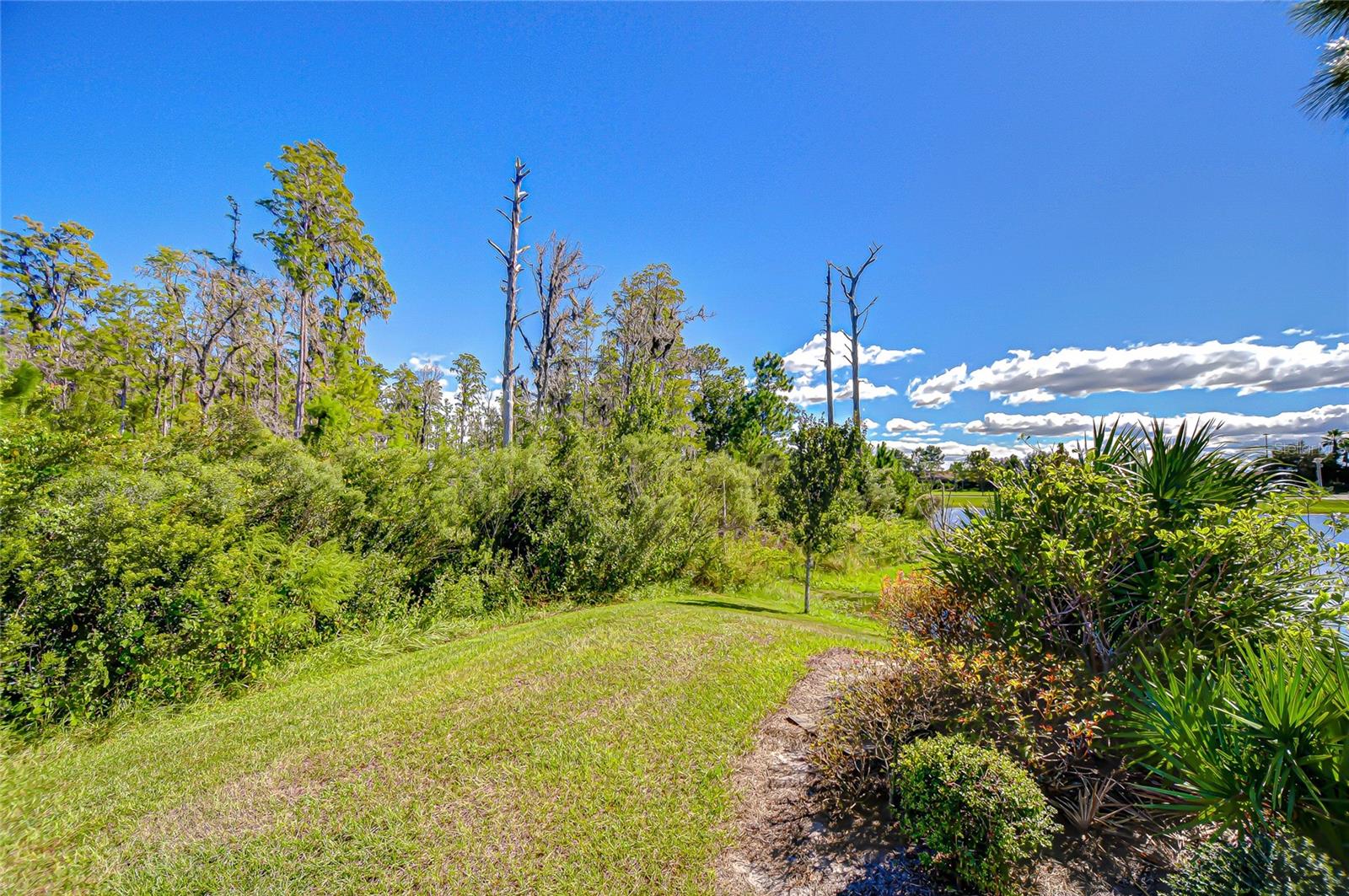 Image 86 of 95 For 11430 Ranchers Gap Drive