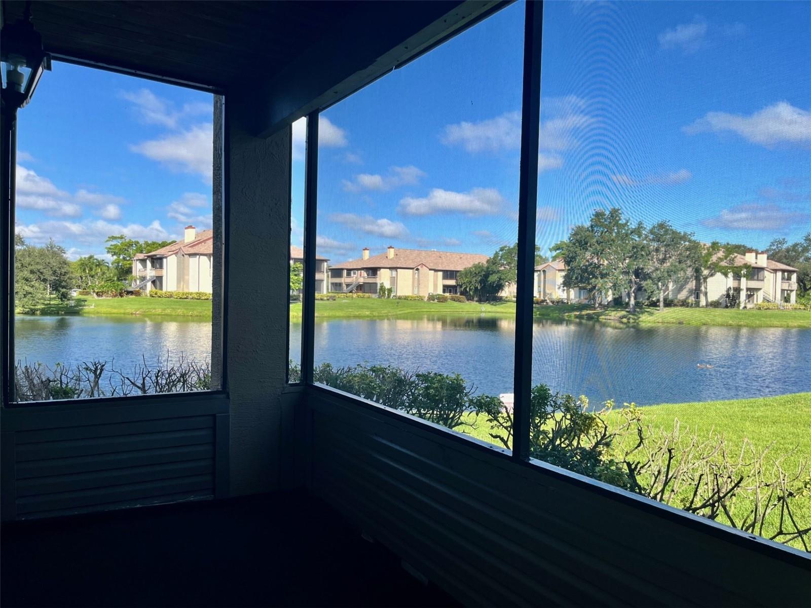 Image 10 of 10 For 10263 Gandy Boulevard N 207