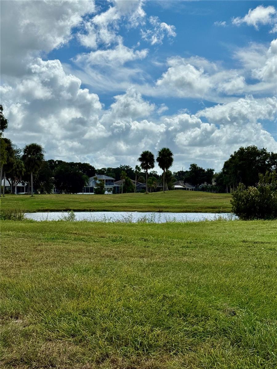 Image 20 of 25 For 739 Winterbrooke Way