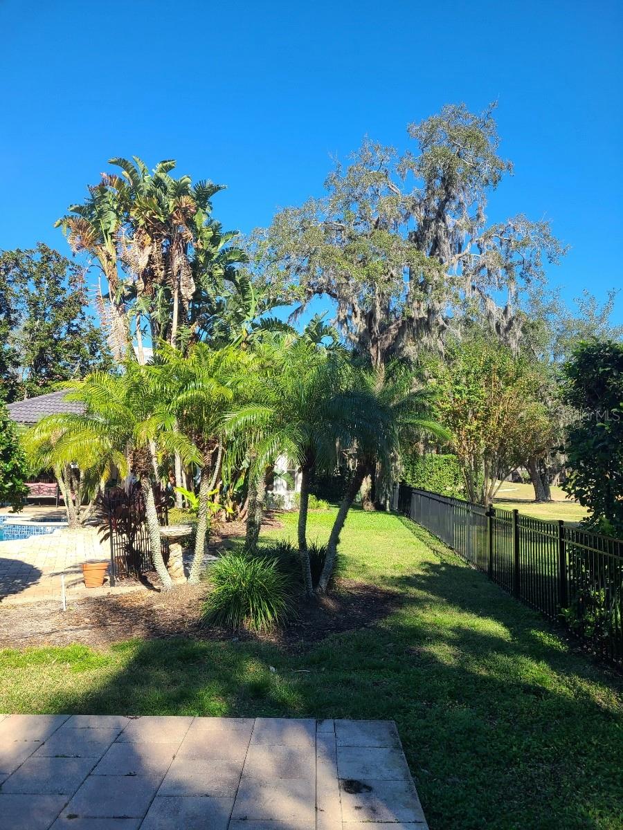 Listing photo id 33 for 10628 Pontofino Circle