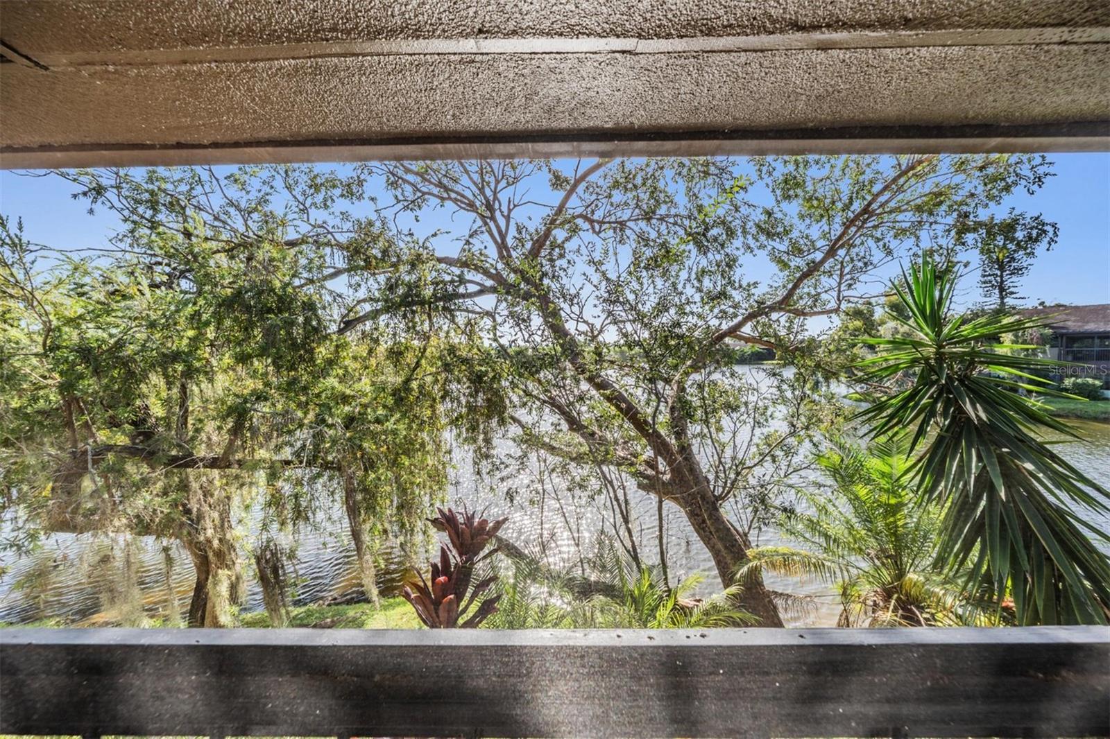 Image 26 of 38 For 782 Village Lake Terrace N 206