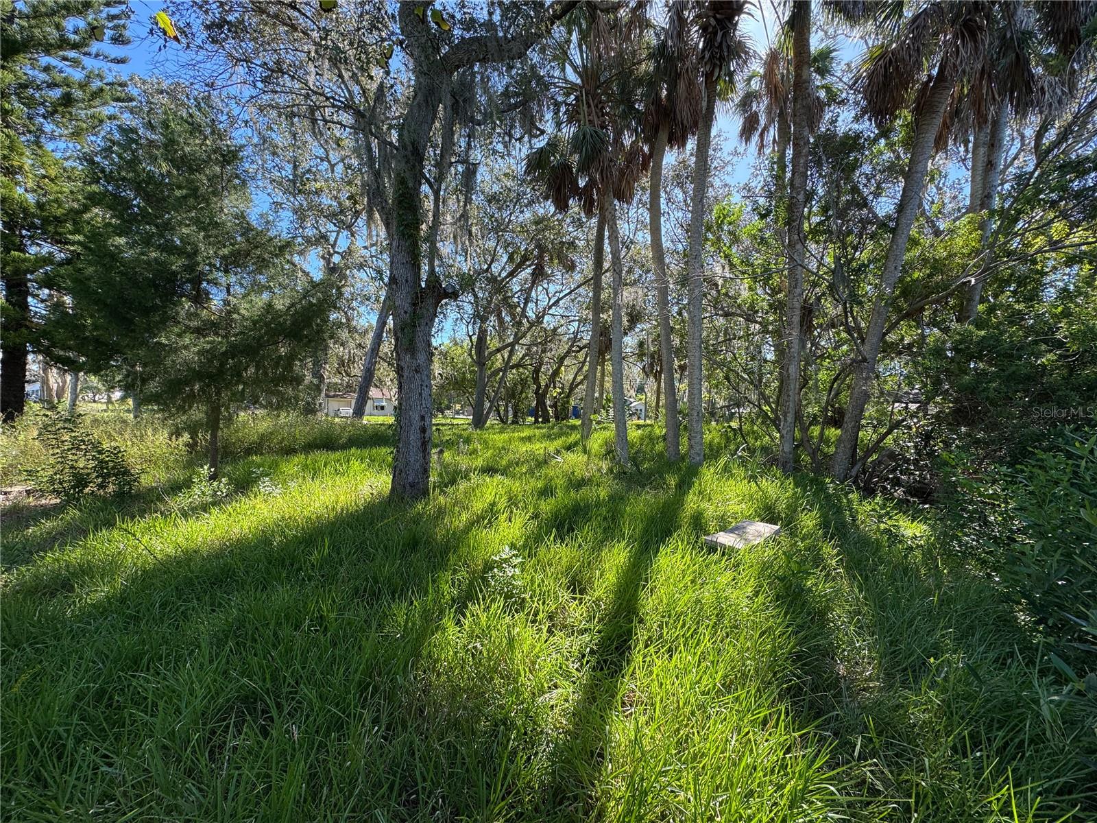 Image 10 of 43 For 18905 Aripeka Road