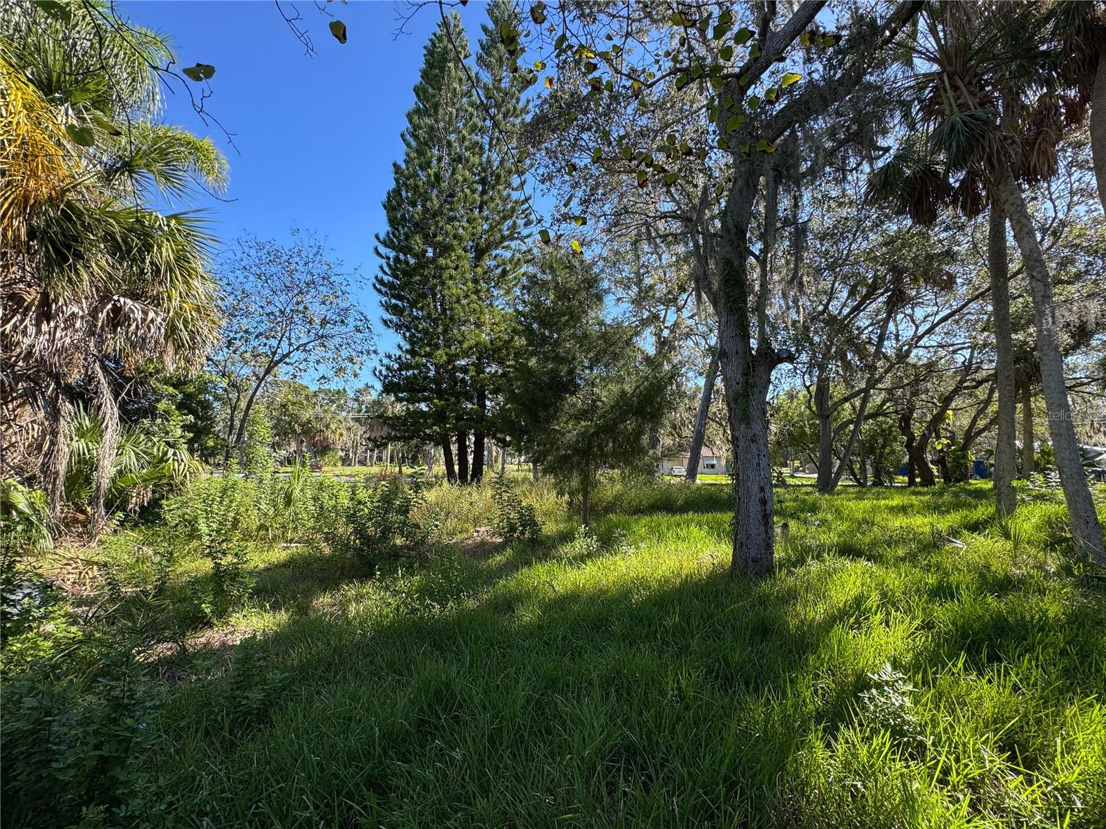 Image 11 of 43 For 18905 Aripeka Road
