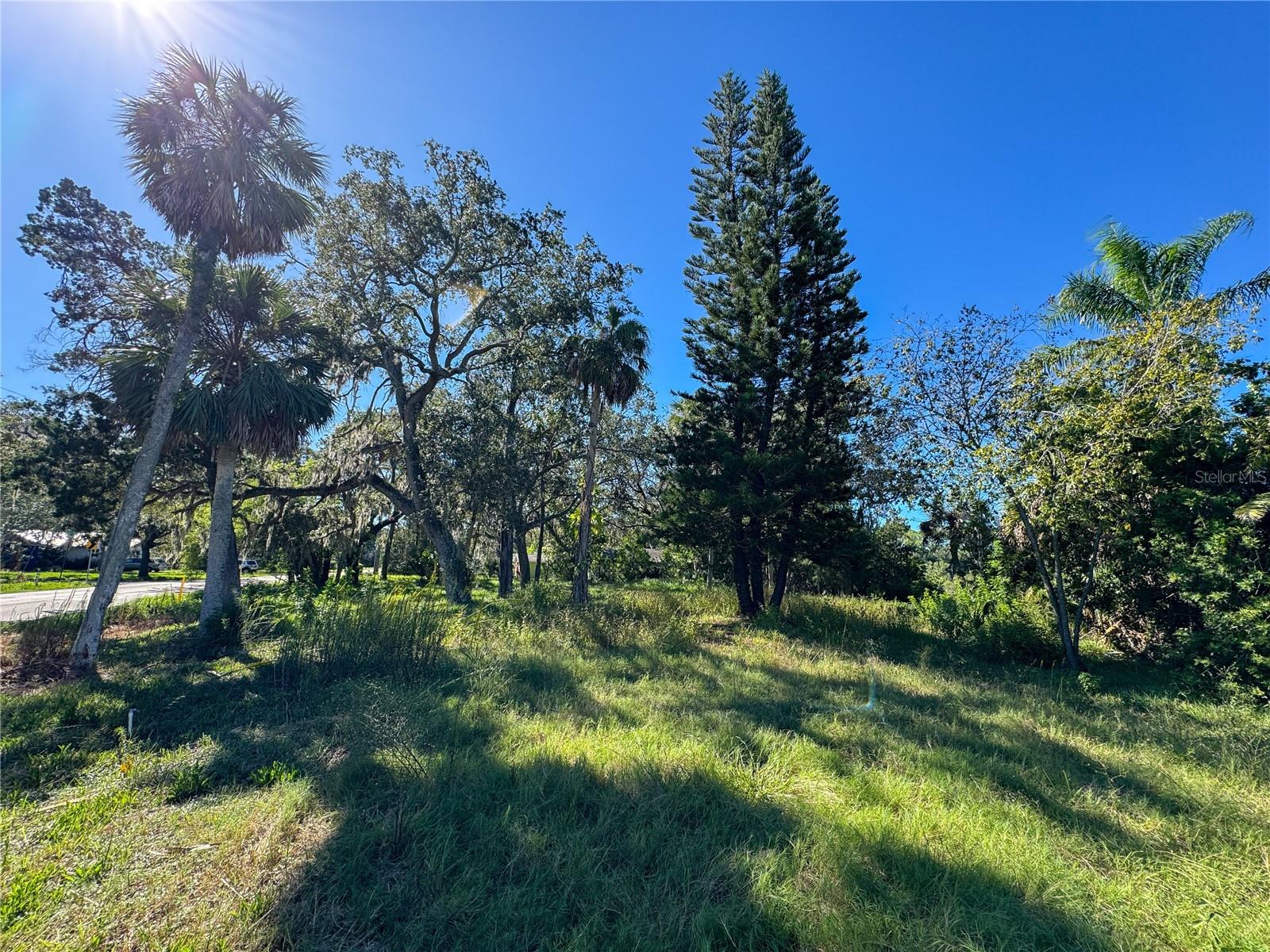 Image 13 of 43 For 18905 Aripeka Road