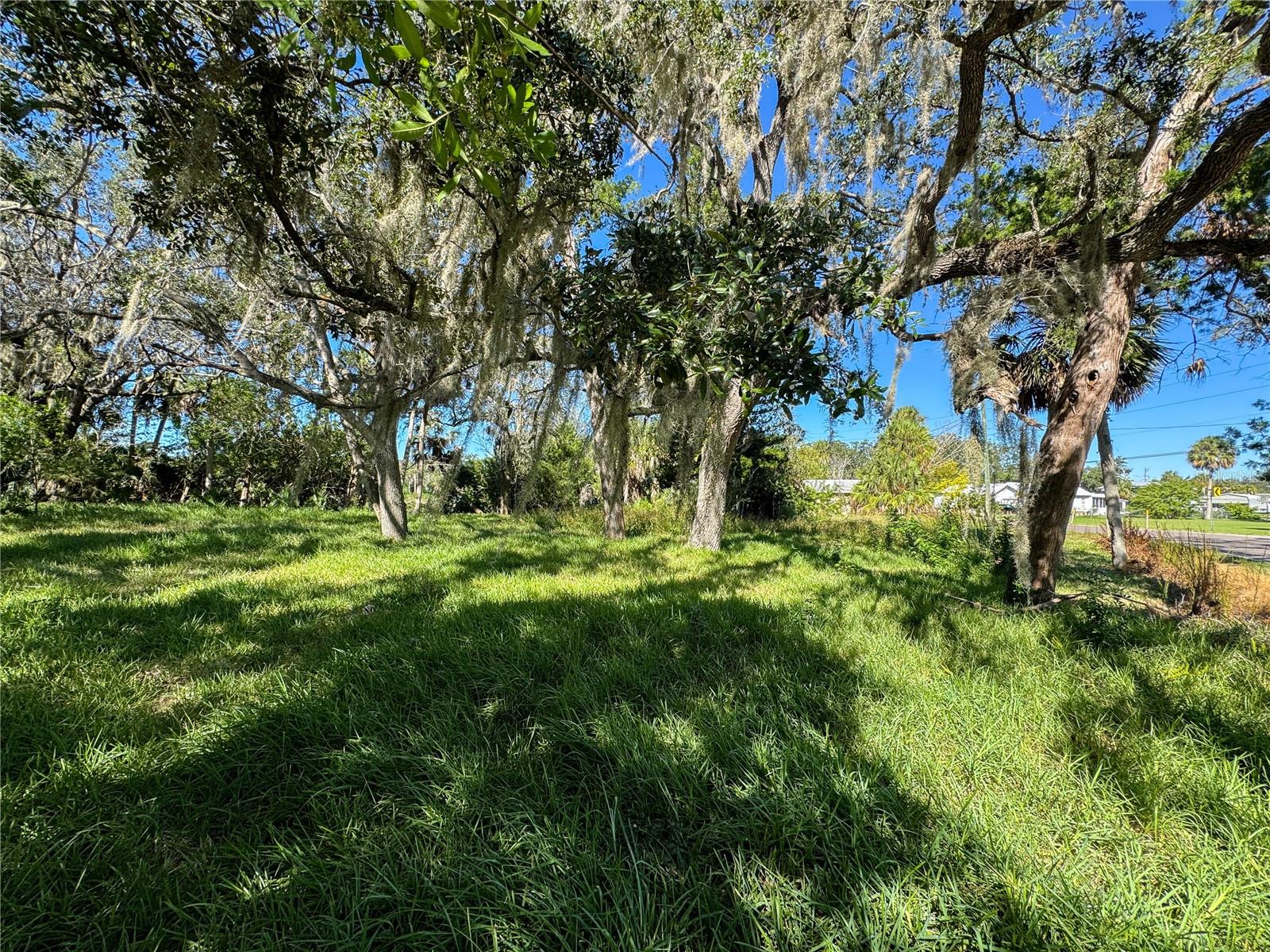 Image 5 of 43 For 18905 Aripeka Road
