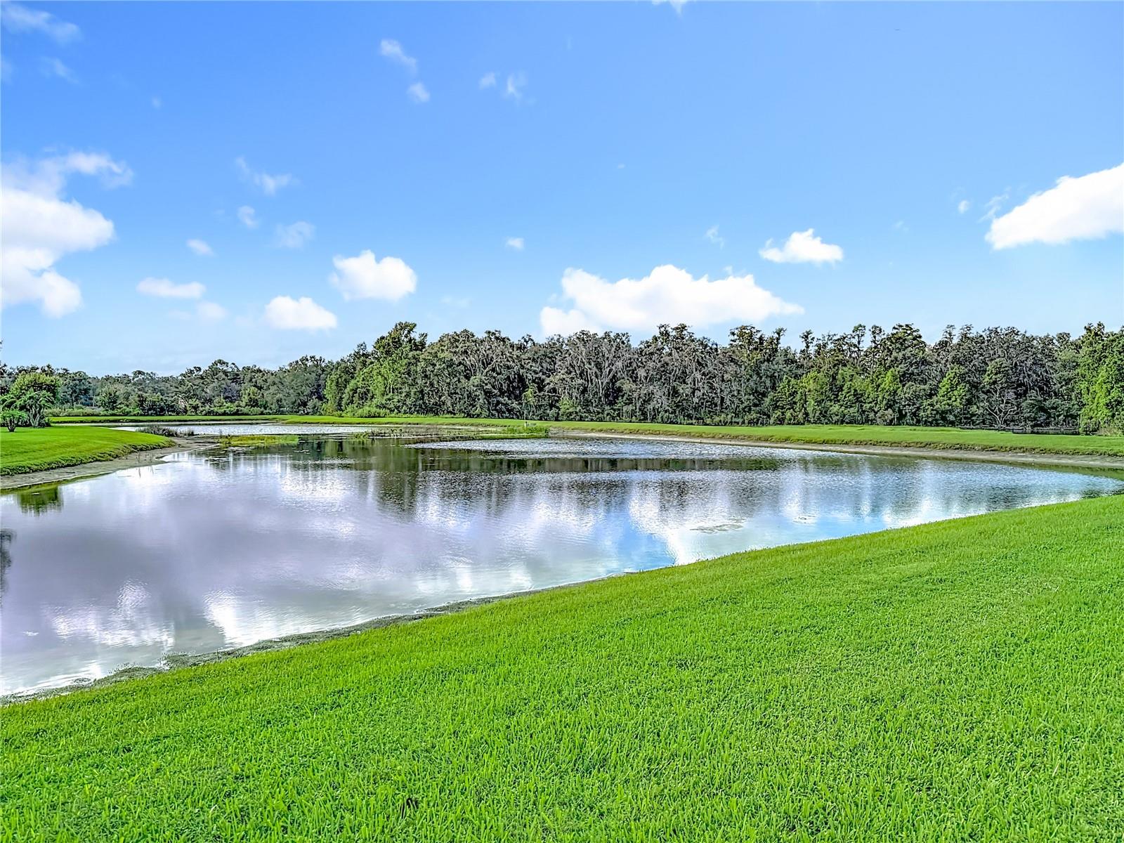 Image 33 of 41 For 20015 Bears Track Lane