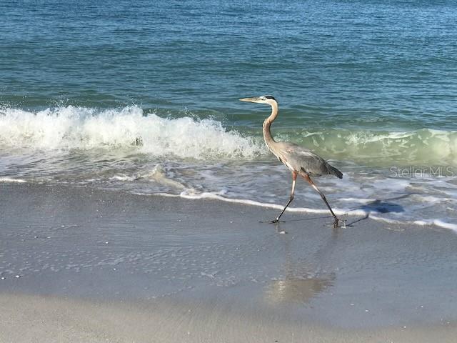 Image 32 of 34 For 11975 3rd Street E 6