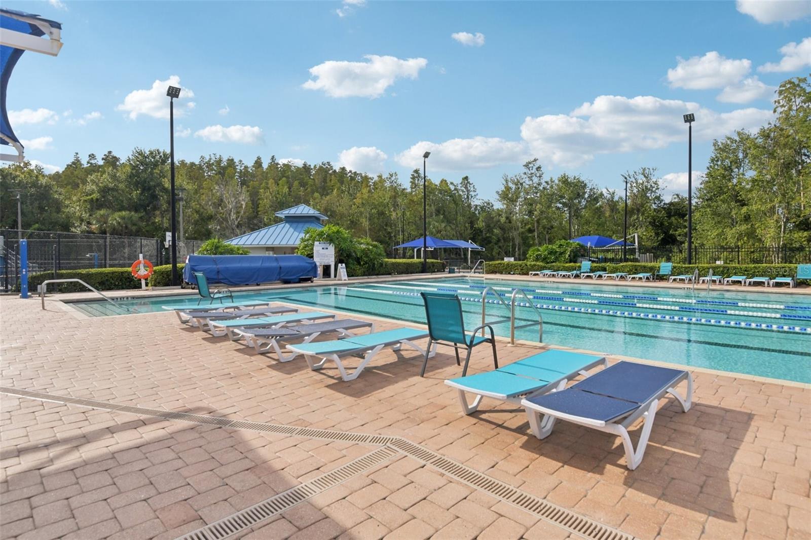 Image 57 of 74 For 28239 Brokenmead Path