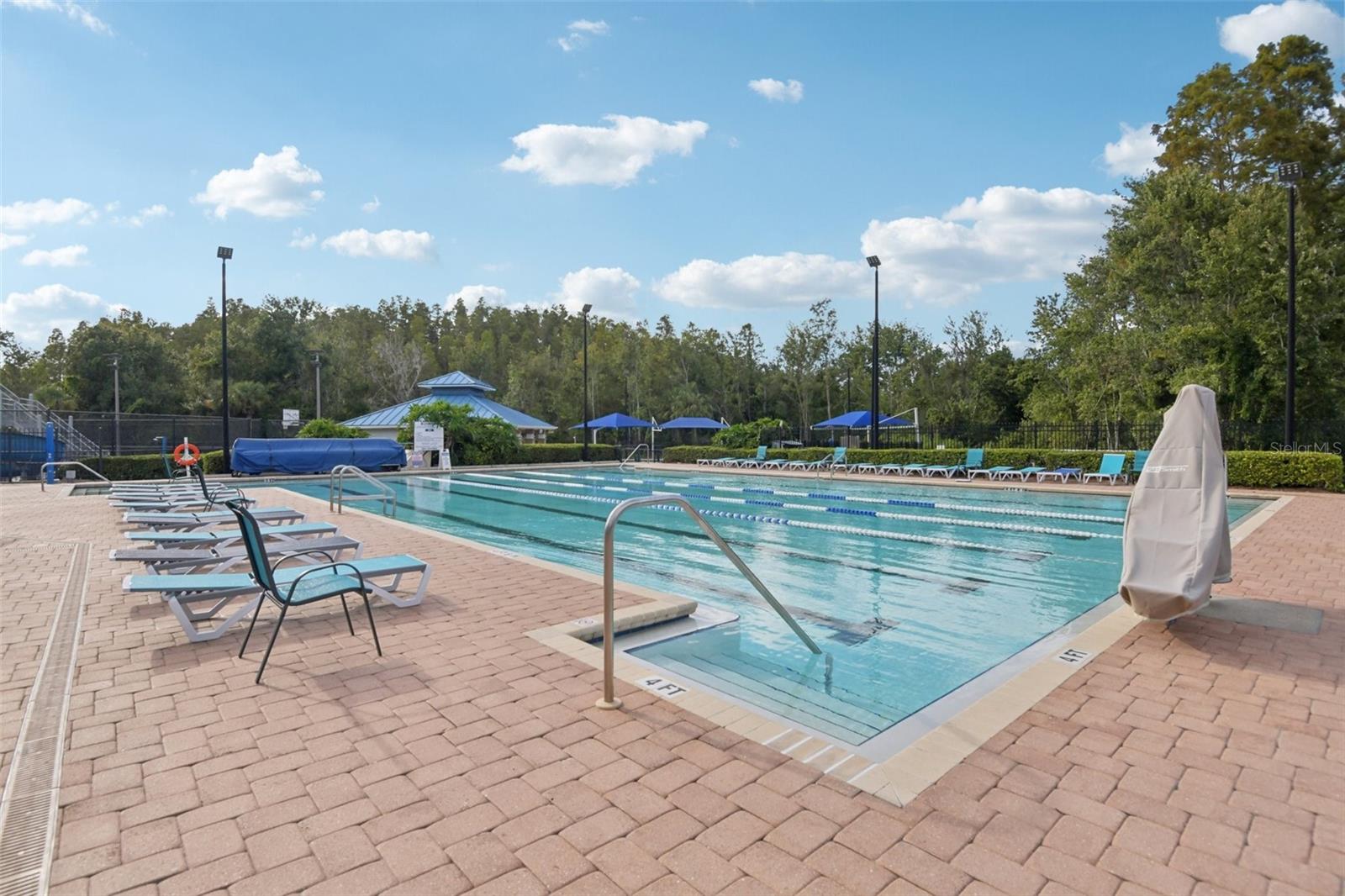 Image 59 of 74 For 28239 Brokenmead Path