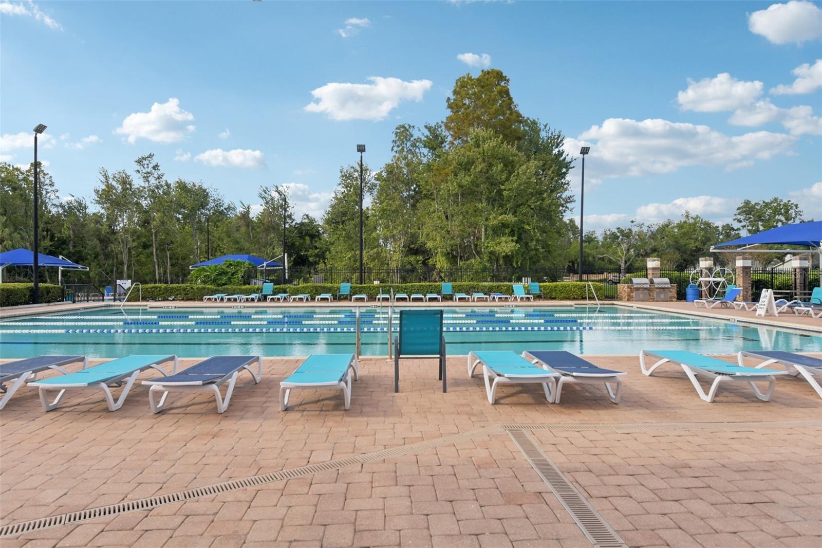 Image 61 of 74 For 28239 Brokenmead Path