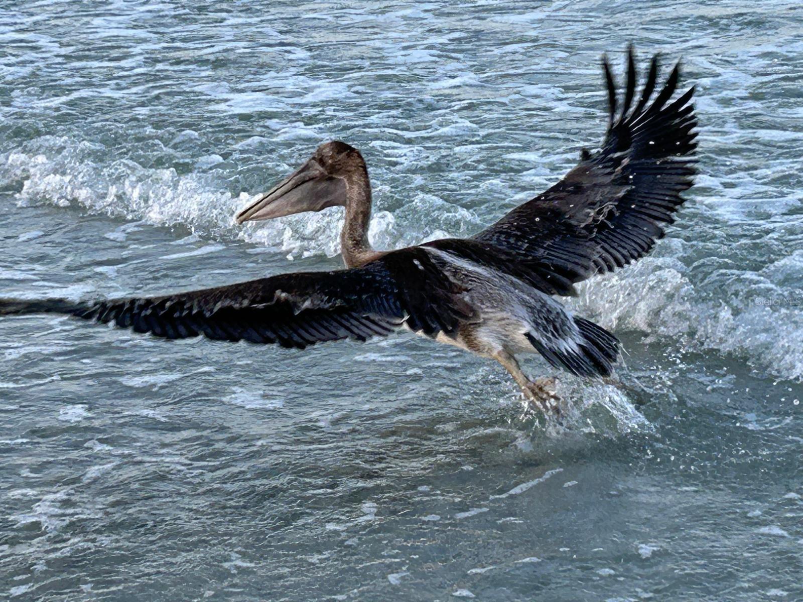 Image 48 of 70 For 19610 Gulf Blvd 206