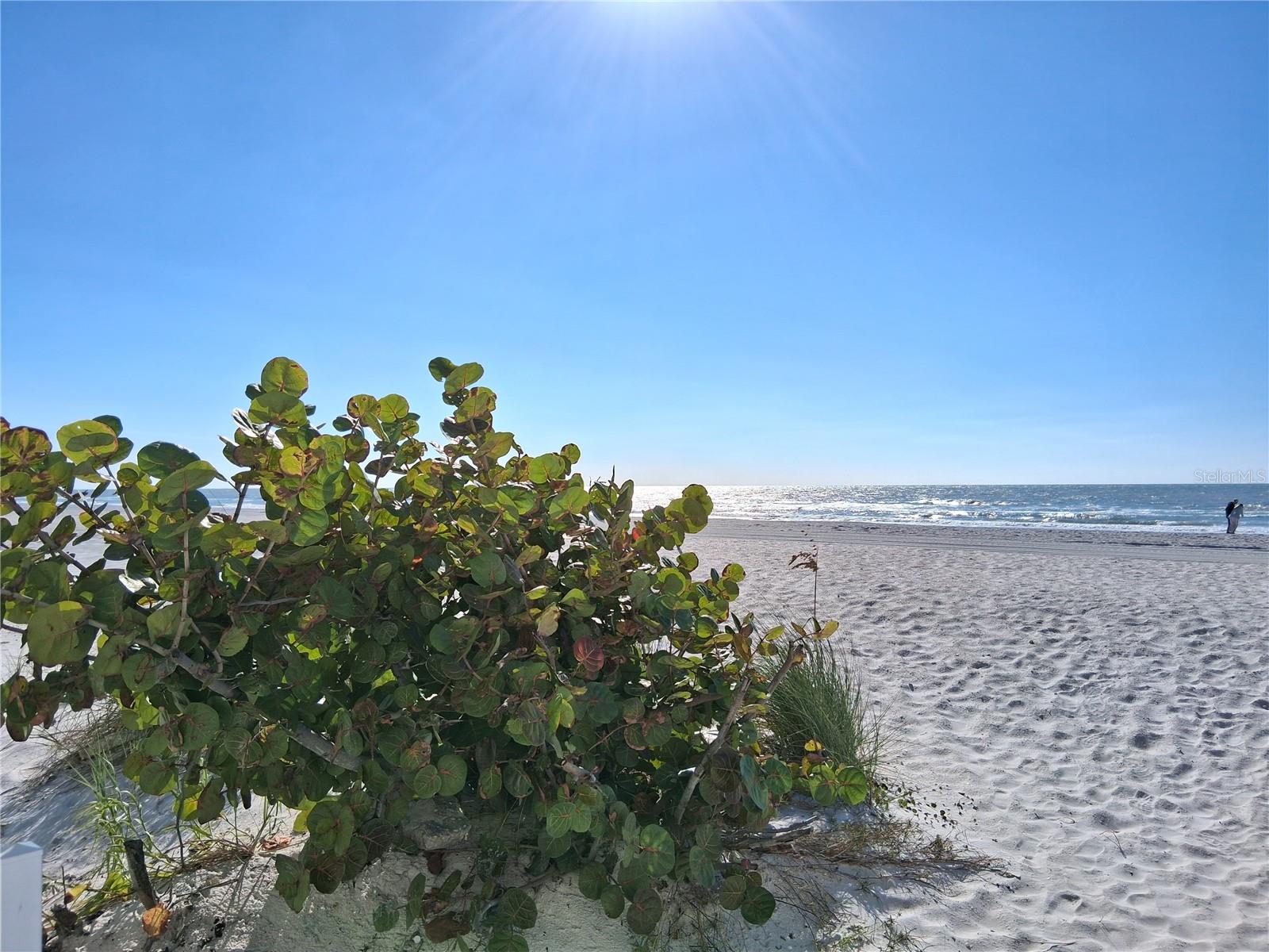 Image 51 of 70 For 19610 Gulf Blvd 206