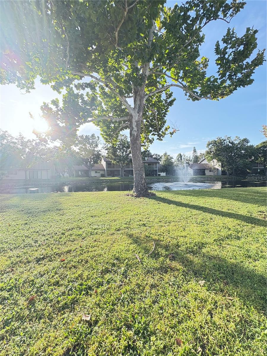 Image 26 of 30 For 1922 Whitney Way