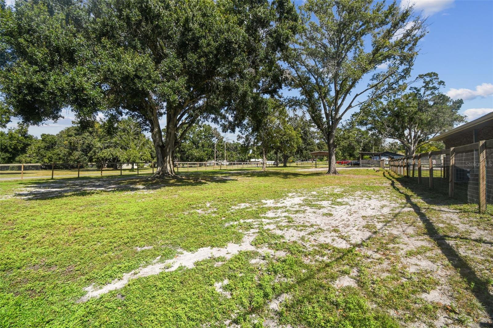Image 75 of 98 For 10725 Dixon Drive