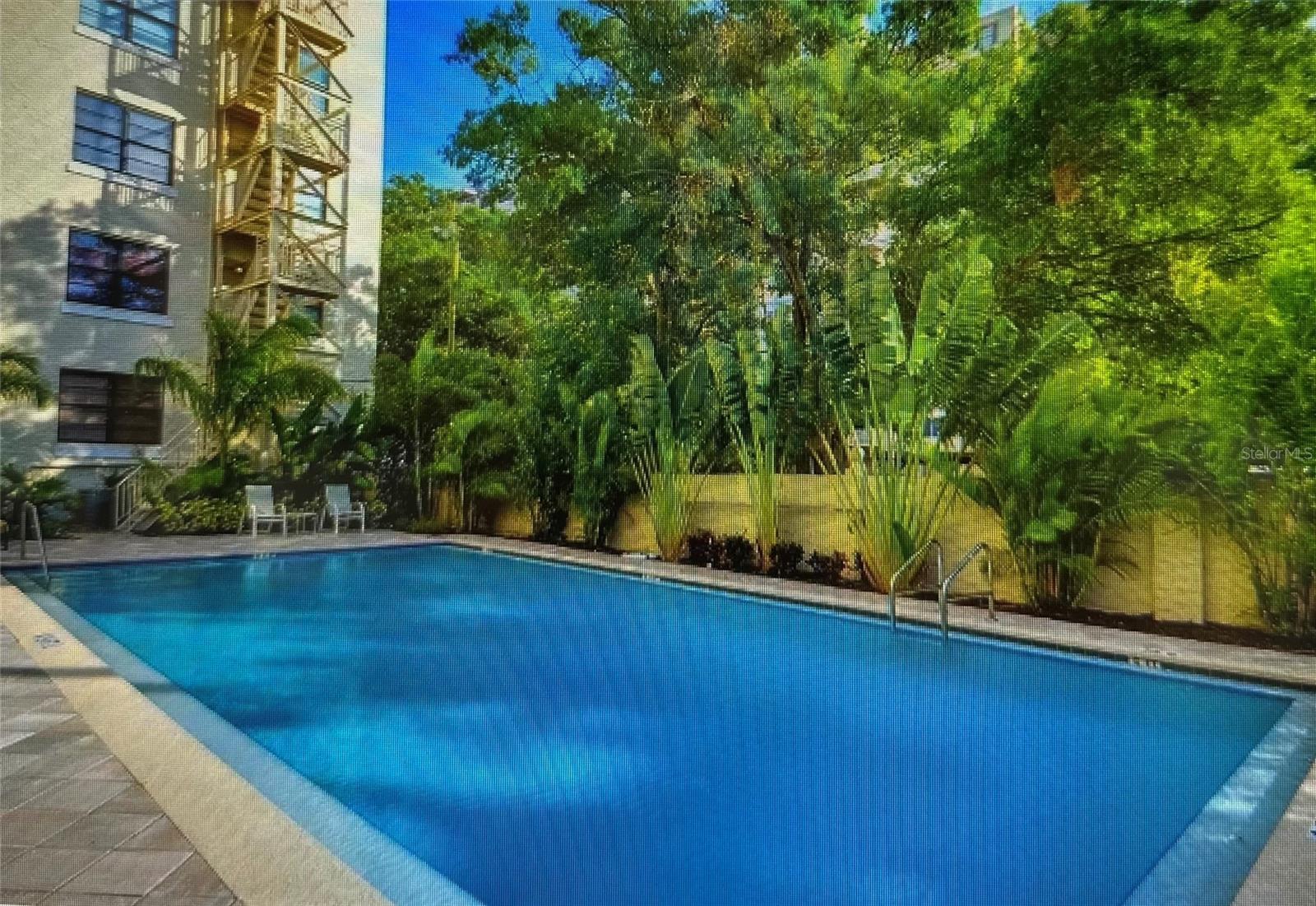Image 16 of 19 For 2109 Bayshore Boulevard 602