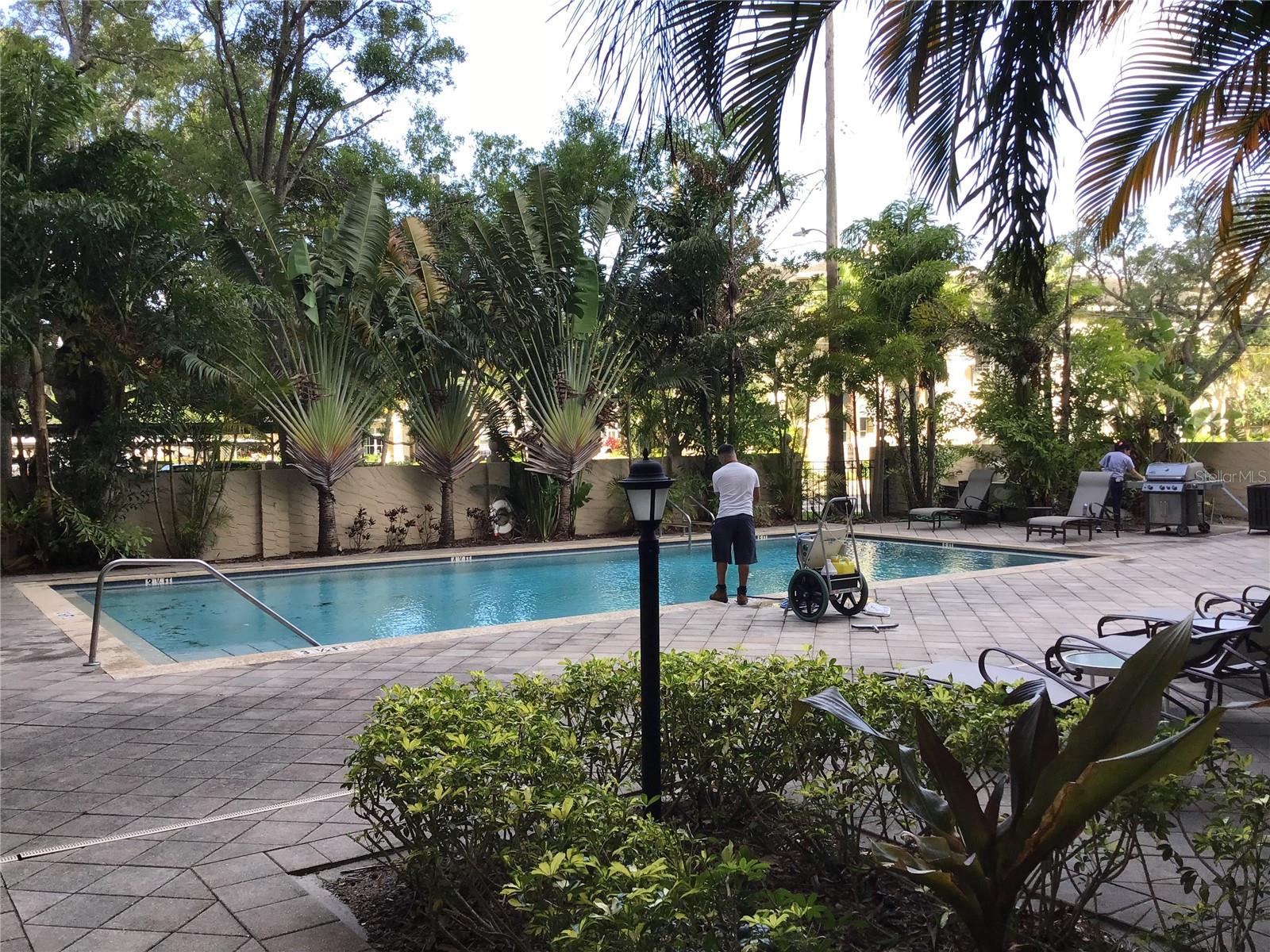 Image 2 of 19 For 2109 Bayshore Boulevard 602