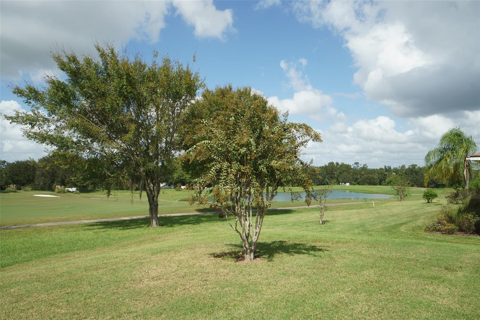 Image 76 of 76 For 13217 Thoroughbred Drive