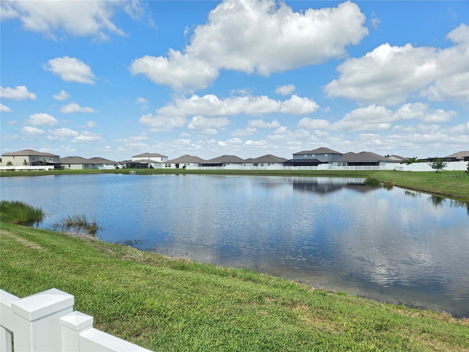 Image 55 of 58 For 11916 Wild Daffodil Court