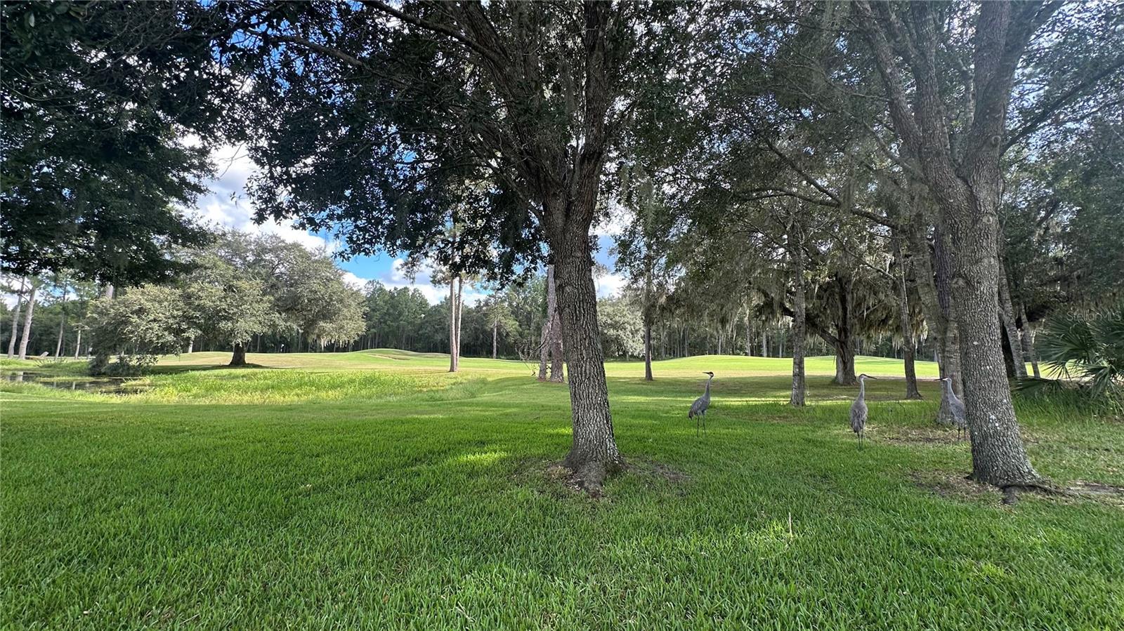 Image 25 of 40 For 4149 Gevalia Drive